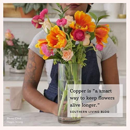 Flower Food Alternative for Fresh Cut Flowers. Copper Charm Keeps Flower Water Clean and Clear. Just Place It in the Vase, Reusable STAR (1) - color: Star, size: Pack of 1