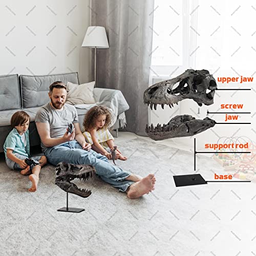 T Rex Skull, Dinosaur Statue Resin Dinosaur Skull Fossil Replica Skeleton Sculptures,Decorative Ornaments for Office Desktop Cabinets Home Kids Adults - color: Large