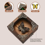 Real Butterfly Shadow Box Picture Frame - Framed Butterfly Taxidermy Meticulously Handcrafted, Gothic Decor Butterfly Small Shadow Box (Male Red Saw Nymphalid (Nymphalidae)) - color: Male Red Saw Nymphalid (Nymphalidae)
