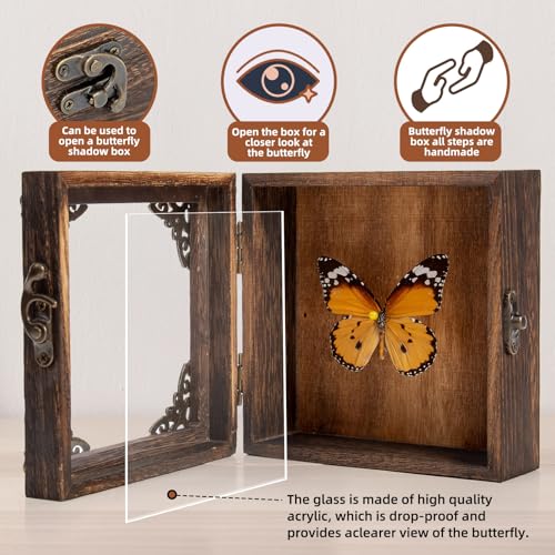 Taxidermy Butterfly Shadow Box Picture Frame - Real Framed Butterflies Meticulously Handcrafted, Framed Butterfly Taxidermy for Dark Academia Decor (Golden Nymphalid (Nymphalidae)) - color: Golden Nymphalid (Nymphalidae)