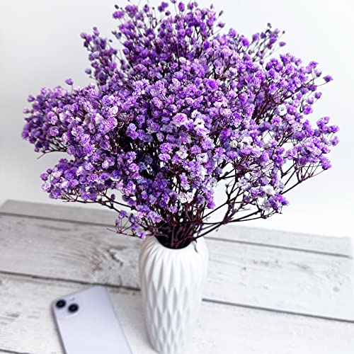 Preserved Baby's Breath 3 Bunches, 100% Natrual Fresh Gypsophila Long Lasting Flowers for Vase Arrangements Home Decoration Photo Props Parties and Weddings, DIY Décor-Light Purple - color: Light Purple