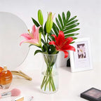 Iridescent Glass Vase 8 Inch, Round Borosilicate Clear Glass Flower Vase, Modern Boho Style Centerpiece Vase for Home Kitchen Wedding, Housewarming - color: Iridescent