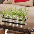 6pc Glass Flower Vase with Metal Holder, Best Vases Set for Home & Table Decor Flowers, Wedding Decorations, Kitchen, Bathroom, Bedroom, Modern Shelf Decor, Terrarium Arrangement
