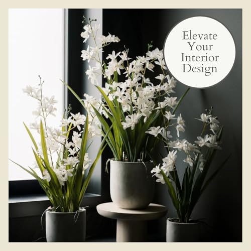 CG Hunter Faux Vanda Orchid Plant, Premium Artificial Indoor Flower Display Stands 22.5”, Beautiful Sculptural Blooms that Lasts Forever, White Planter Pot Included - size: 22.5" Vanda Orchid