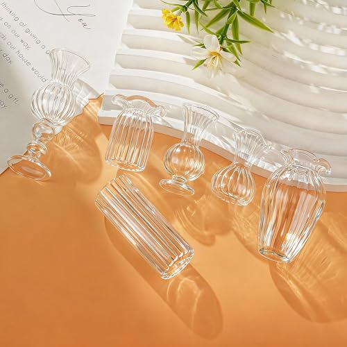 H&D HYALINE & DORA 6 Pcs Mini Glass Flower Vases Cat Whisker Vase Clear Miniature Ribbed Vases for Centerpieces, Wedding Reception Table Decorations(1.2-2.5 in)