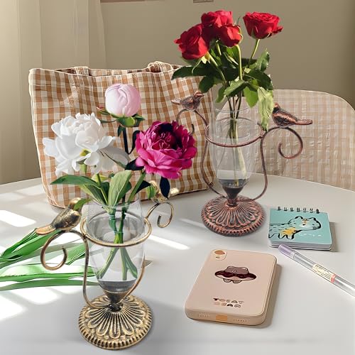 2 Pack Desktop Plant Terrarium,Bird Art Glass Propagation Vase, Propagation Planters with Vintage Metal Frame, Suitable for Decoration of Desktop Hydroponic Plants in Office and Living Room - color: Bird