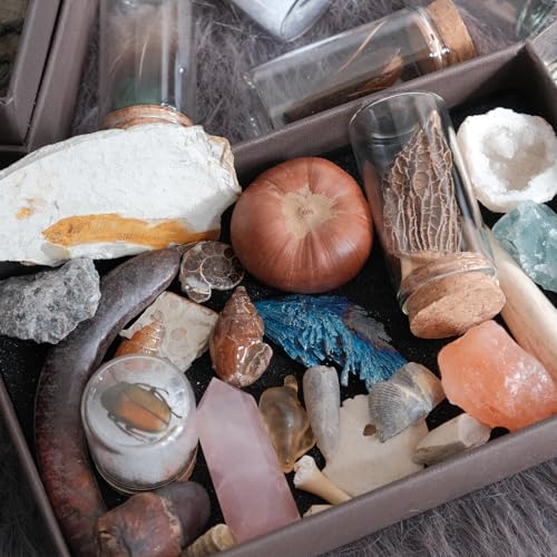 10Pcs Mystery Natural Oddities Collection Box - Real Fossils, Crystals & Taxidermy in Glass Vials | Dark Academia Decor for Adults & Kids | Witchy Curio Cabinet Decor | Unique Gifts for Science Lovers - style: 10PCS
