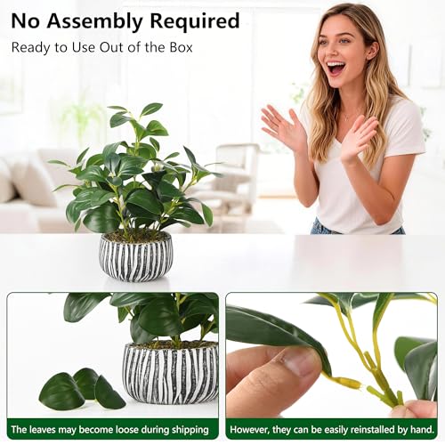 florisso Artificial Succulents with Fig Leaf Greenery in Rustic Clay Planter, Fake Succulents Potted Decor for Farmhouse, Bathroom, Bedroom, Kitchen, Office Desk and Coffee Table (Black White) - color: White & Black Cement Planter