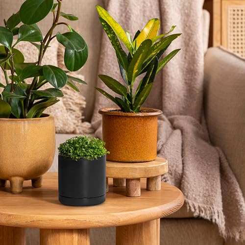 D'vine Dev Set of 2 Plants Pots, 3.5 Inch Ceramic Planter Pot for Plants with Drainage Hole and Saucer, Black, 94-V-A-2 - color: Black, size: 3.5 Inch