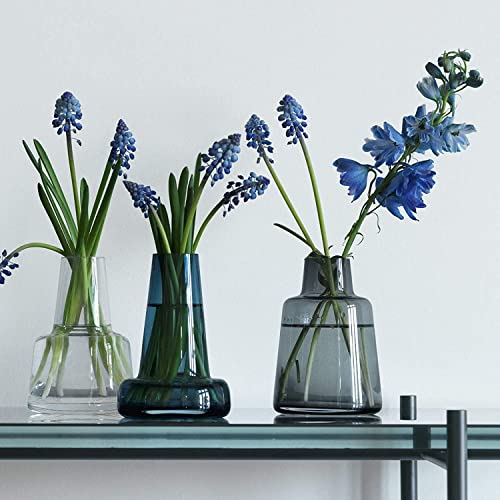 Holmegaard Flora Vase Medium Neck, Clear, 4.7" H x 3.3" D, Designed by Less Limits v/Louise Campbell, Gift Box Included - color: Transparent, size: 9x9x13.2