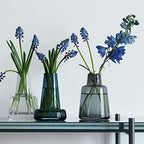 Holmegaard Flora Vase Medium Neck, Clear, 4.7" H x 3.3" D, Designed by Less Limits v/Louise Campbell, Gift Box Included - color: Transparent, size: 9x9x13.2