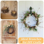 30Pcs Real Dried Birch Twigs - 16” Decorative 100% Natural Birch Branches for Easter Vases, Curly Willow Branches, DIY, Floral Arrangement, Twig Wreath, Centerpiece, Rustic Home Decor - size: 30