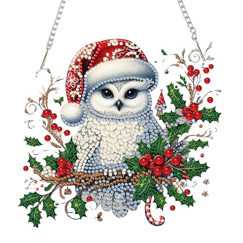 Auremi Christmas Diamond Art Painting Pendant Kits with Chain,5D Owl Diamond Art Hanging Kit DIY Diamond Crystal Window Door Hanging Pendant Kit for Adults Gift Wall Decor - color: Owl
