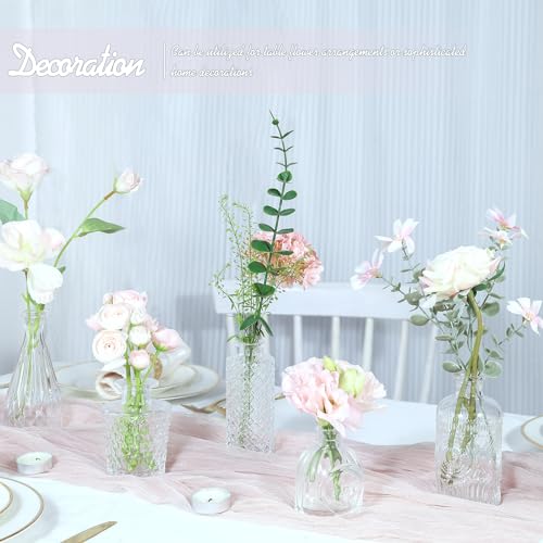 TBWIND Glass Bud Vase Set of 5, Small Clear Flower Vases for Centerpieces in Bulk, Mini Vintage Vase for Wedding Decor, and Home Table Décor - color: 5pcs-clear