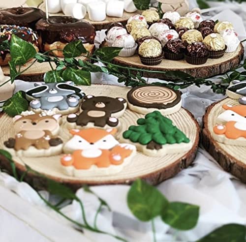 Set of (12) 9-11 inch Wood Slices for centerpieces! Wood Slice centerpieces, Wood Rounds, Tree Slices (9-11 inch 12 Pack) - size: Set of 12 Medium (9-11")