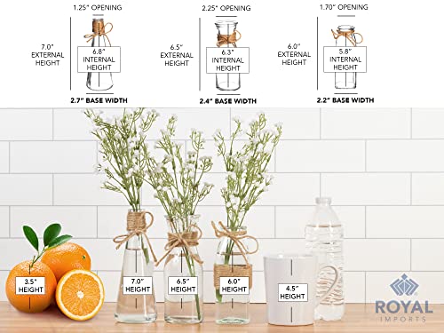 Royal Imports Clear Glass Bottle Bud Vase, Small Single Stem Flower Centerpiece, Mini Decorative Floral Jars, Rustic Farmhouse Home Decor, Kitchen, Fireplace, Shelf, Narrow One Rose Holder, Set of 3 - size: Large (Set of 3)