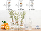 Royal Imports Clear Glass Bottle Bud Vase, Small Single Stem Flower Centerpiece, Mini Decorative Floral Jars, Rustic Farmhouse Home Decor, Kitchen, Fireplace, Shelf, Narrow One Rose Holder, Set of 3 - size: Large (Set of 3)