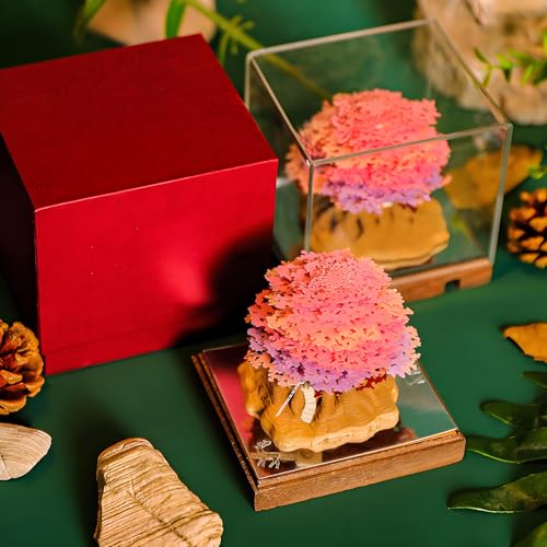 3D Creative Time Piece Calendar 2026 Desk Daily Calendar Decoration with Acrylic Case, Paper Sculpture Non-stick Notes, Paper Carving Art Craft Chirstmas Gift (Tree House)