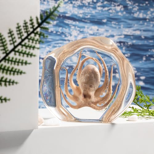Taxidermy Octopus, Real Octopus Specimens Animal Specimen in Resin for Science Classroom Science Education, Great Gift for Fans of Taxidermy, Animal Skull, Oddities, Biology (Irregularly) - color: Octopus B