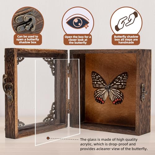 Real Taxidermy Butterfly Shadow Box - Framed Butterfly Taxidermy Meticulously Handcrafted, Goth Gifts Butterfly Decoration Box (Black-Veined Nymphalid (Nymphalidae)) - color: Black-veined Nymphalid (Nymphalidae)