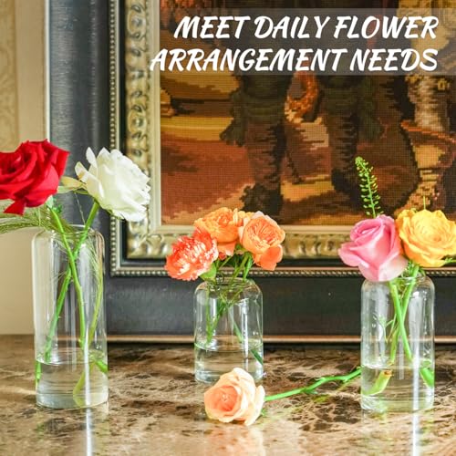 Glass Bud Vases Set of 9 - Clear Flower Vases for Centerpieces, Small Glass Vase Modern Bud Vase for Wedding Party Dining Table Centerpieces, Living Room Decorative, Home Decor - size: 9 Pcs Mixed Sizes (4, 5, 6.7 Inch)