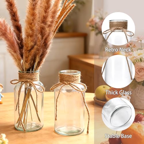 12 Pack Glass Flower Vases with Rope,Brajttt Vintage Bud Vases in Bulk,Mason Jars for Centerpieces,Flower Vase for Centerpieces and Tag for Weddings,Home Decor & DIY Projects