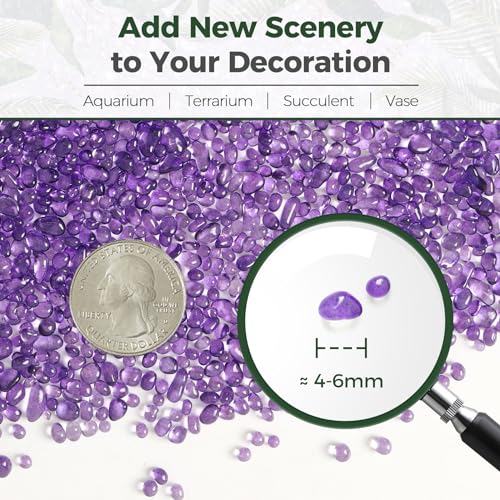 T4U Fish Tank Gravel 2 LB, Tumbled Small Rocks for Aquarium, Glass Beads for Vases, Succulent Rocks for Plants, Aquarium Gravel Decorative Pebbles for Terrarium Crafts Vase Filler, Purple - color: Purple, size: 2 LB
