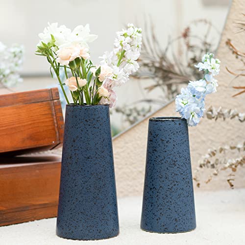 Bdor Ceramic Vase, Flower Vase Set of 2, Blue Vase for Room Decor, Modern Farmhouse Home DéCor Accents, Living Room Decor, Book Shelf, Mantel and Minimalism Dining Coffee Table Decor. - color: Blue-2p