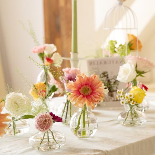 Glass Bud Vase Set of 28 Pcs for Rustic Wedding Centerpieces and Home Decor, Small Glass Vases for Flowers, Mini Bud Vase Set，Vintage Vases for Centerpieces