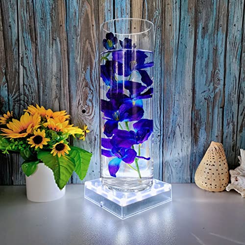 LARDUX Pack of 4 Led Light Base - 5 inch Square Lights Display Stand for Effiel Tower Vase Crystal Glass Art LED Pedestal Base - Charging USB or Battery Powered - size: 5-inch led base