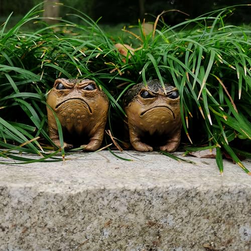 MOLMH Weird Queer Grumpy Frog Toad Statue Ugly Angry Outdoor Garden Yard Decor Statue Fun Novelty Home Office Decor Sculpture Unique Gift