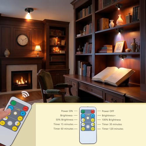 LED Spotlight Indoor,Rechargeable Battery Uplighting Indoor, Mini Accent Spot Lights for Plants Tree Wall Art Display Painting Artwork Portrait Dartboard Closet Gallery Photo-Black 2Pack - color: Black