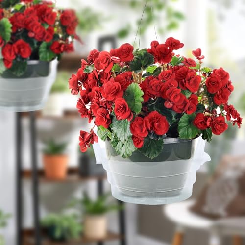 Miuwauer 15 Pack of 12-inch Hanging Basket Water Catcher Plastic Hanging Plant Drip Pan Tray Plastic Saucers Liners for Indoor Outdoor Hanging Plants Baskets Flower Pots - Clear, Round - size: 12 Inch