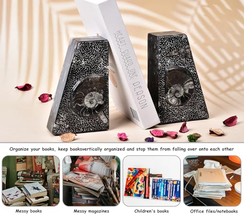 AMOYSTONE 1Pair Decorative Heavy Bookends 6-8 LBS Trapezoid Authentic Natural Orthoceras Fossil Shell Polished Height 6.2" - color: Black & White a, size: 6-8 Lbs