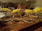 Clear Glass Bud Vase Cute Flower Vase for Short Plant Mother's Day Wedding Centerpiece Home Decoration Floral Arrangements Holder (3.15")