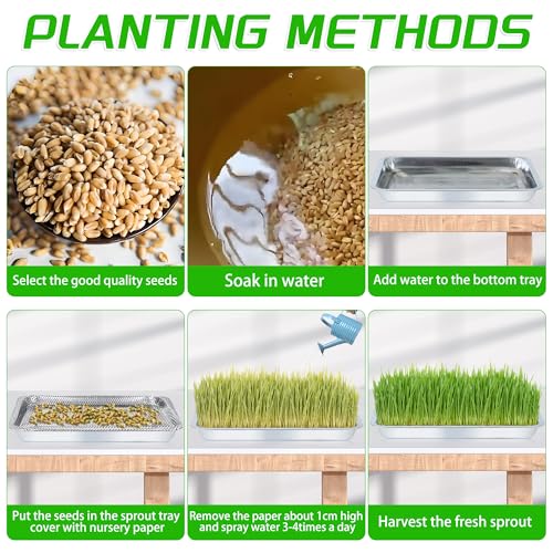 Plant Germination Trays, Stainless Steel Plant Trays Stainless Metal Trays Stainless Steel Seed Starter Carry Trays Nursery Seedling Pots Water Collection Transplantation (6PCS)