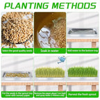 Plant Germination Trays, Stainless Steel Plant Trays Stainless Metal Trays Stainless Steel Seed Starter Carry Trays Nursery Seedling Pots Water Collection Transplantation (6PCS)