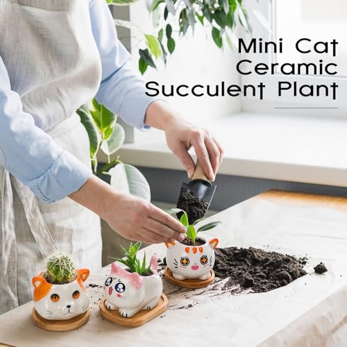 Cindeer 18 Pcs 2.5 Inch Cat Ceramic Succulent Planter Pots – Cute Cat Small Pots with Drainage Hole and Bamboo Tray for Succulents, Cactus, Home Garden Office Desk Decoration Gift Ideas - style: Cat