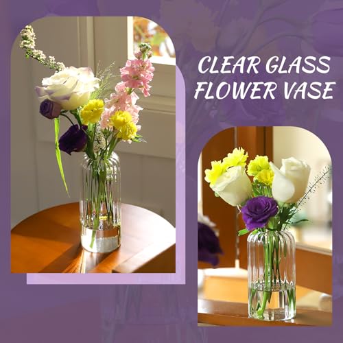 24Pcs Glass Cylinder Vases, Clear Ribbed Bud Vases for Centerpieces Weeding Decoration, Tall Clear Flower Vases in Bulk for Table Shelf, Party(Ribbed)