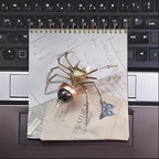 Mechanical Metal DIY 3D Insect Spider Model Brass Puzzle Assembly DIY for Family and Friends(Jumping Spider) - style: Jumping spider