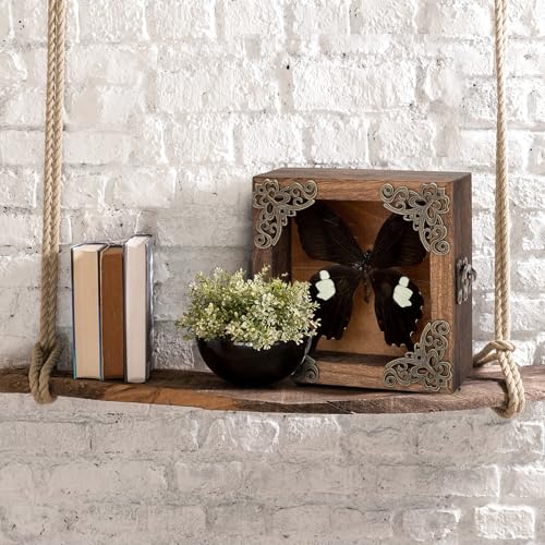 Taxidermy Butterfly Shadow Box Picture Frame - Real Butterfly Framed Meticulously Handcrafted, Framed Butterfly Taxidermy Gothic Room Decor Great White Spotted Butterfly (Family Papilionidae) - color: Great White Spotted Butterfly (Family Papilionidae)