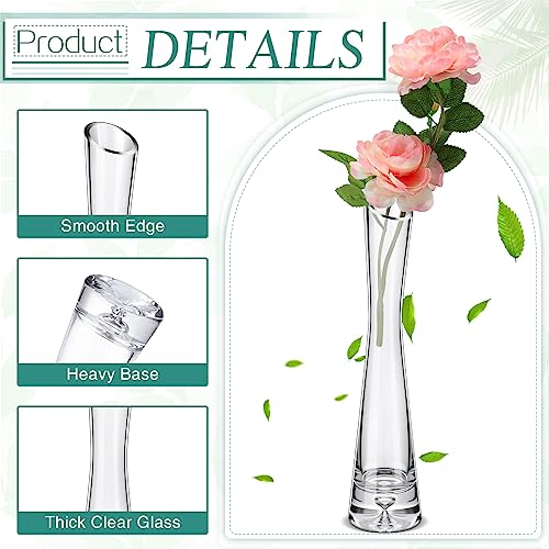 Lallisa 6 Pcs Glass Bud Vases for Centerpieces Maria Modern Clear Small Skinny Decorative Single Flower Bud Vase for Wedding Party Event Home Office Decoration(9.84 Inch,Transparent Color) - color: Transparent Color, size: 9.84 Inch