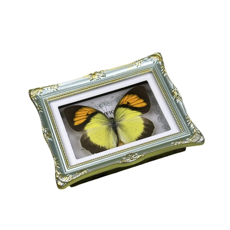 1Pcs Real Butterfly Framed Handmade, Taxidermy Butterfly Shadow Box Collection, Framed Butterfly Taxidermy for Oddities and Curiosities Gifts Tabletop Ornaments (F-Butterfly Specimen+Photo Frame) - color: F-butterfly Specimen+photo Frame