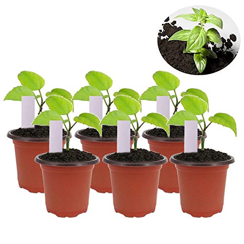200 Pcs 4 Inch Plastic Seedlings Plants Nursery Pots with 200 Pcs Waterproof Plastic Plant Tags and 2 Set Transplanting Digging Mini Tools for Outdoor use(Red Brown) - size: 4 inch(200pcs)