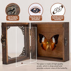 Real Taxidermy Butterfly Shadow Boxes - Framed Butterfly Unique Metal Pushpin Fixation, Oddities and Curiosities Gifts Butterfly Decoration Box (White Tape Nymphalid (Nymphalidae)) - color: White Tape Nymphalid (Nymphalidae)
