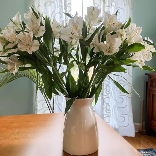 hjn White Flower Vase- Ceramic Vase for Decor, White vase for Flowers, Modern Vases for Living Room/Home Decor Accents/Entryway/Mantel/Bookshel - color: White-7inch