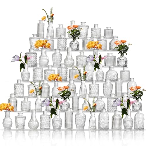 Glass Bud Vases Set of 64 - Assorted Small Mini Glass Vases for Flowers, Crystal Vintage Vase Set, Bulk Centerpieces for Table Décor, Wedding, Home and Events (Clear, 64 Pcs) - color: Clear, size: 64 Pcs