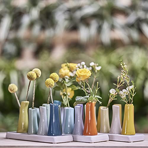 Chive - Pooley 2, Ceramic Flower Vase, 8-Tube Shape (Chartreause) - color: Chartreuse