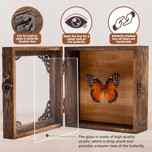 Taxidermy Butterfly Shadow Box Picture Frame - Real Framed Butterflies Meticulously Handcrafted, Framed Butterfly Taxidermy for Dark Academia Decor (Red Saw Nymphalid (Nymphalidae)) - color: Red Saw Nymphalid (Nymphalidae)