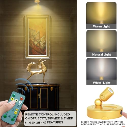HAMVIDNE Rechargeable Indoor Spotlight, 3 Lighting Modes Battery Operated Spotlights with Remote, Picture Lights for Wall, Plant Tree Spotlight with Timer, Up Lights for Art Display Artwork-Gold - color: Rechargeable-Gold